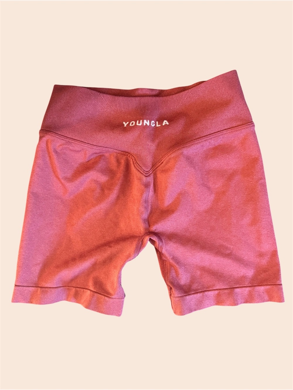 YoungLA Dusty Rose High-Rise Bike Shorts